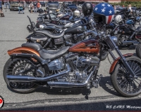 TSR Watermark - 0563